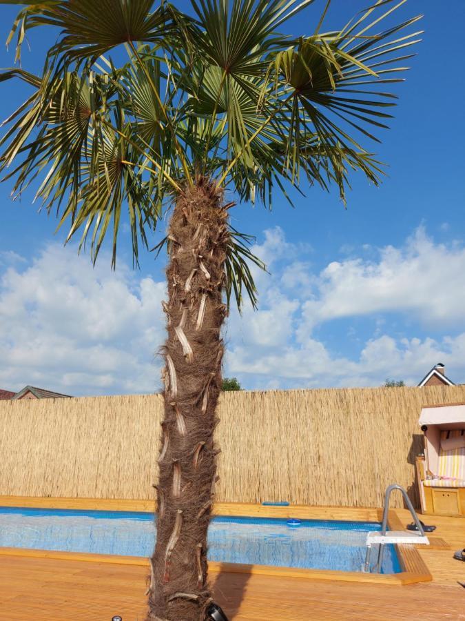 Ferienwohnung Uhlenbusch Paradise ฟรีซอยเธอ ภายนอก รูปภาพ